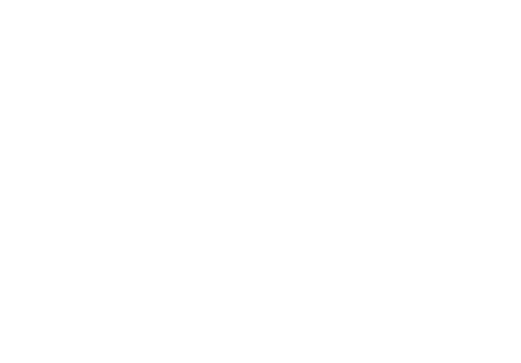 ジャパニーズウイスキー